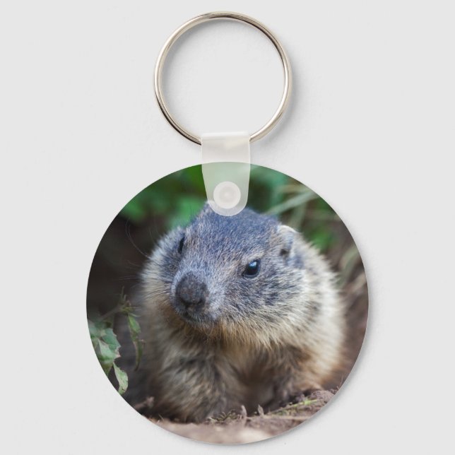 Nyfikna Baby Marmot-Nyckelringen Nyckelring (Framsida)