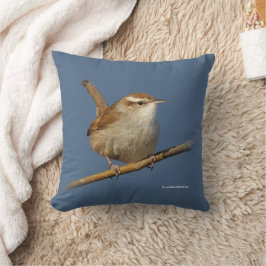Nyfikna Bewicks Wren Songbird på Gren Kudde