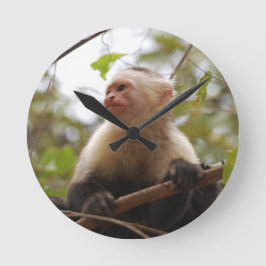 Nyfikna Capuchin, Costa Rican Monkey Rund Klocka