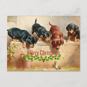 Nyfikna Dachshund Puppies och a Frog, Jul Vykort