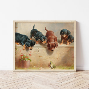 Nyfikna Dachshund-valpar Carl Reichert Poster