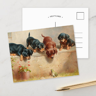 Nyfikna Dachshund-valpar Carl Reichert Vykort