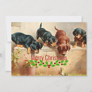 Nyfikna Dachshund-valpar och en groda, jul, Julkort