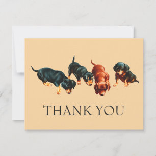 Nyfikna Dachshund-valpar Vintage Wiener Hundar Tack Kort