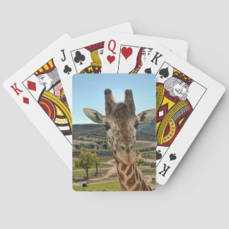 Nyfikna Giraffe-kort Casinokort