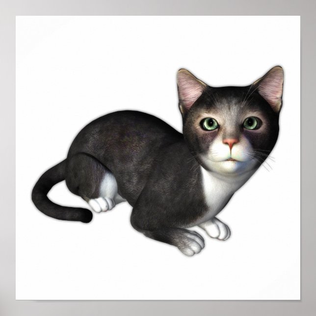 Nyfikna Grått Kitten Poster (Framsidan)