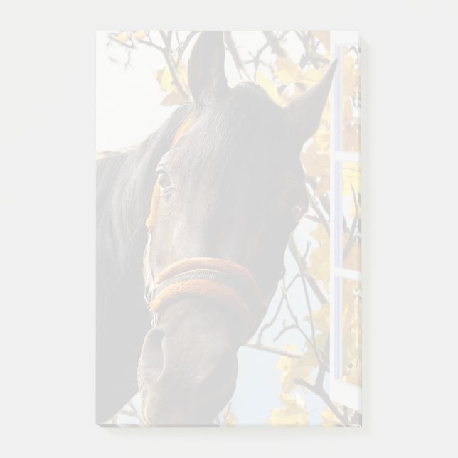 Nyfikna hästar Tittar genom köksfönstret Post-it Block (Framsida)