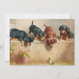Nyfikna hundvalpar Carl Reichert
