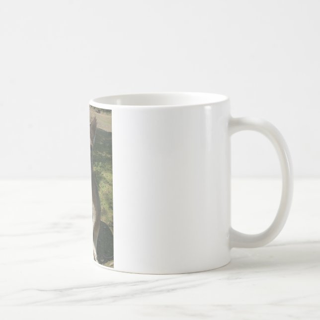 Nyfikna Kangarooo Kaffemugg (Höger)