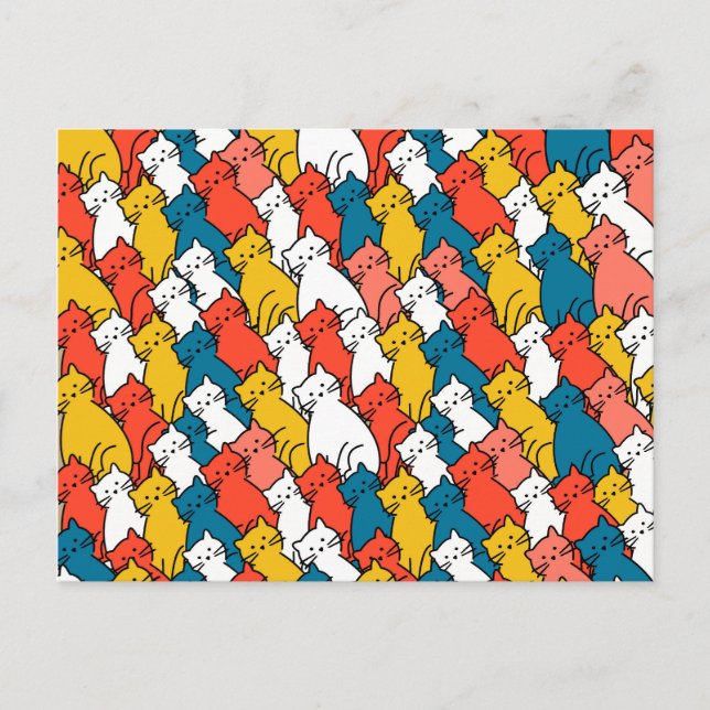 Nyfikna katter, färglösa vykort (Framsida)