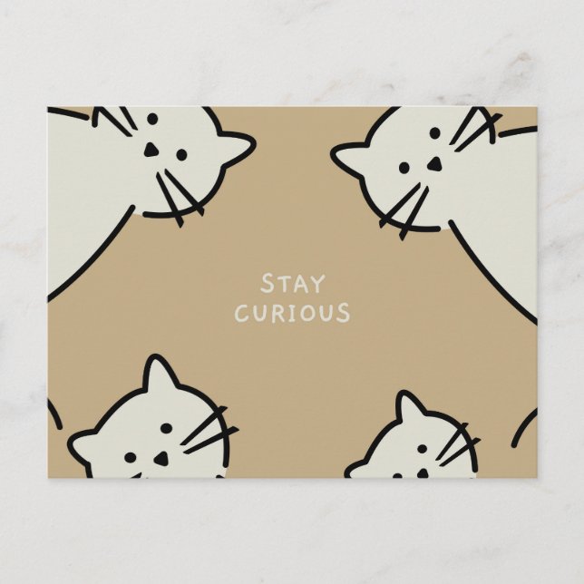 Nyfikna katter vykort (Framsida)