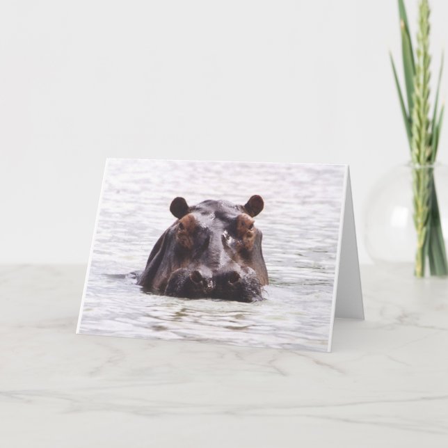 Nyfikna Keeboko (flodhästen) Kort (Framsida)