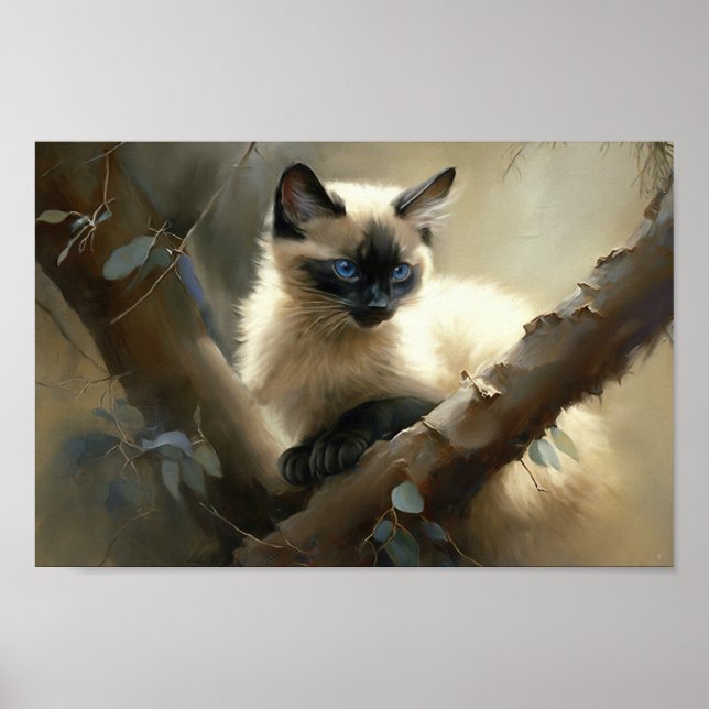 Nyfikna Kliber Siamese Kitten Poster (Framsidan)
