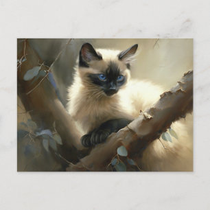 Nyfikna Kliber Siamese Kitten Vykort