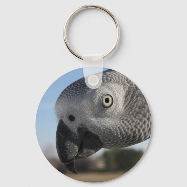Nyfikna Kongo African Grått Parrot Nyckelring (Framsida)