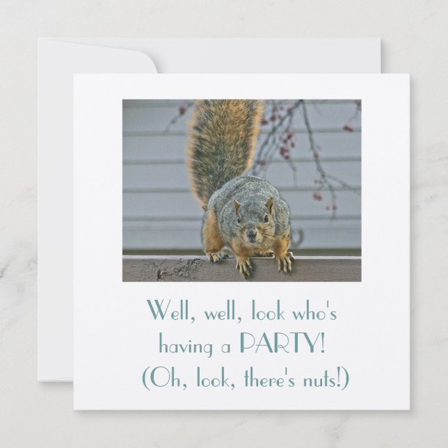 NYFIKNA KVIRREL PÅ FENCE TITTAR I KAMMAREN INBJUDNINGAR (Framsida)