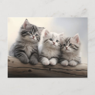 Nyfikna Little Ones - Cute Tabby Kittens Vykort