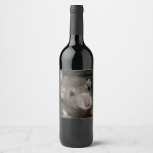 Nyfikna Råtta Vinflaska Etikett