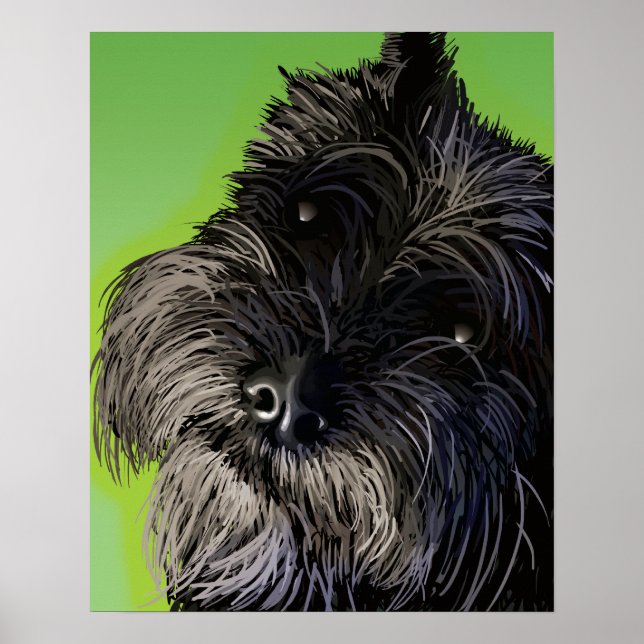 Nyfikna Schnauzer Poster (Framsidan)
