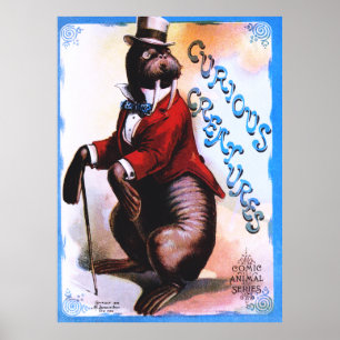 Nyfikna skapelser - försegling poster