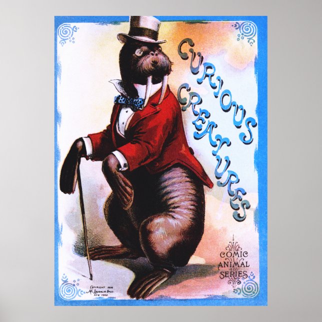 Nyfikna skapelser - försegling poster (Framsidan)