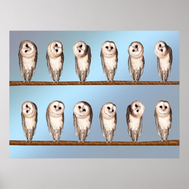 Nyfikna uggla poster (Framsidan)