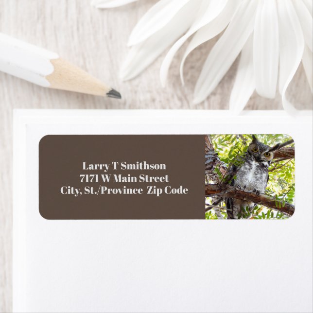 Nyfikna Uggla vid Gren Returadress Etikett (Insitu)