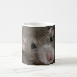 Nyfiknare Råtta Kaffemugg