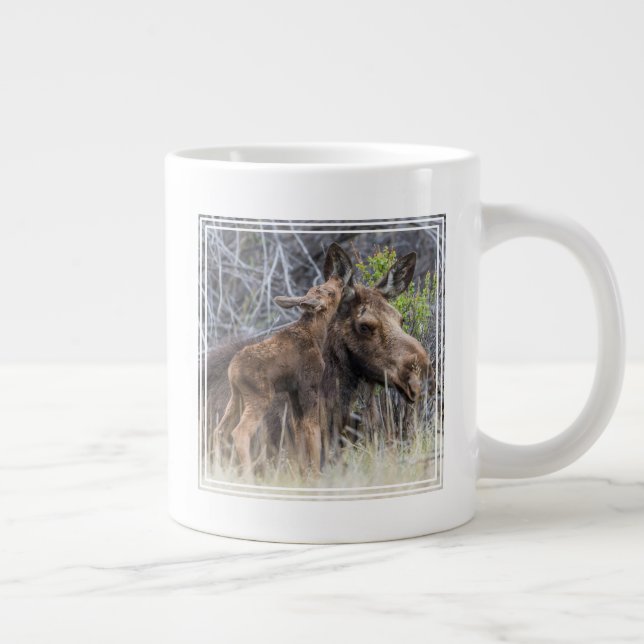Nyfödd älgkalv som nosar på sin mamma jumbo mugg (Höger)