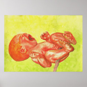 Nyfödd babyWailer Poster