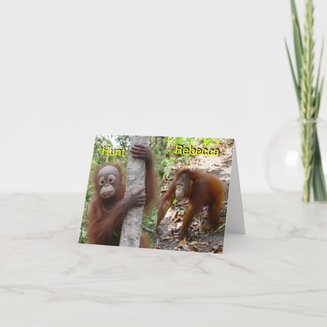 Nyfödd bebis meddelande (Framsida)