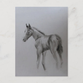 Nyfödd bebis meddelande vykort