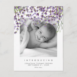 nyfödd bebis neutralt lavender-fotovykort helg vykort