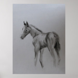 Nyfödd bebis poster