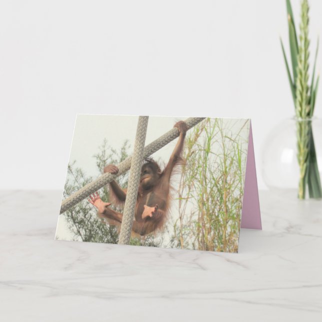 Nyfödd bebis! Välkommen till Joys paket Meddelande (Framsida)