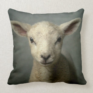 Nyfödd Lamb Kudde