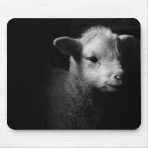 Nyfödd Lamb Musmatta