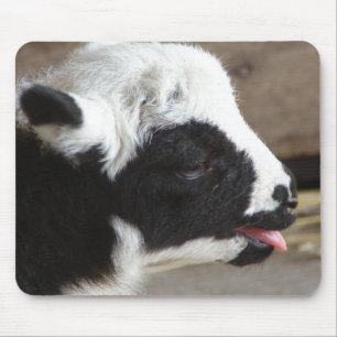 Nyfödd Lamb Musmatta