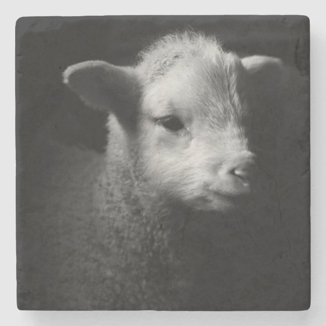 Nyfödd Lamb Underlägg Sten (Framsidan)