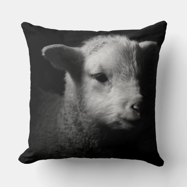Nyfödd lamm kudde (Framsida)