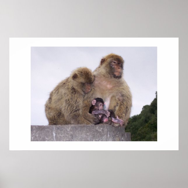 Nyfödd Poster (Framsidan)