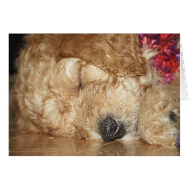 Nyfödd Series-02 Hälsningskort (Framsidan Horizontal)