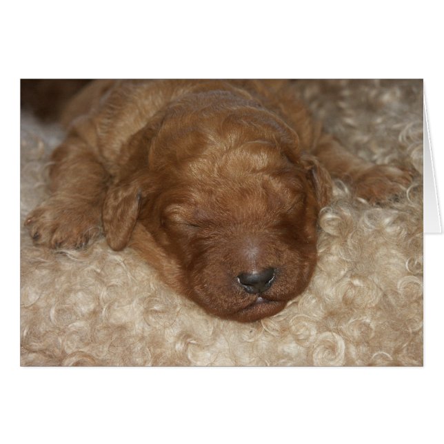 Nyfödd Series-10 Hälsningskort (Framsidan Horizontal)