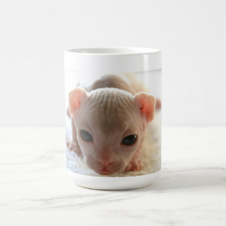 Nyfödd sphinxkattunge kaffemugg