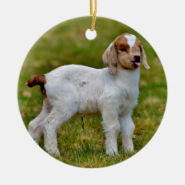 Nyfödda Boer Goat Kid Julgransprydnad Keramik