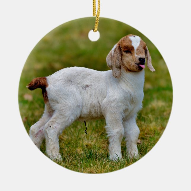 Nyfödda Boer Goat Kid Julgransprydnad Keramik (Framsidan)