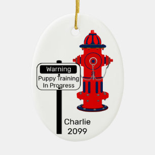 Nyhet om hundträning Brand Hydrant Jul Julgransprydnad Keramik