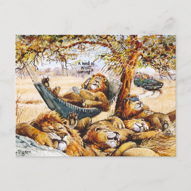 Nyheter reser snabbt vykort (Framsida)