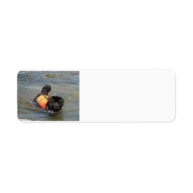 nyhetsfie i vatten.png returadress etikett (Framsidan)