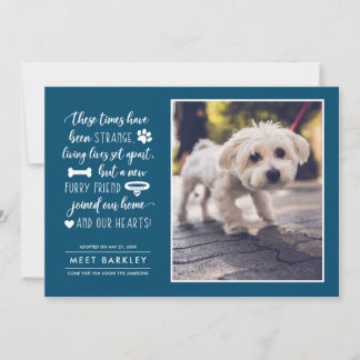 Nyhetsmeddelande om parenteser| Blå Julkort